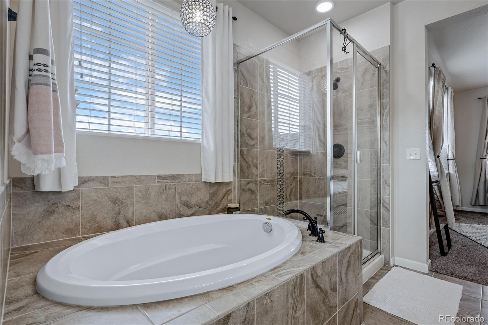 MLS Image #24 for 3231  youngheart way,castle rock, Colorado