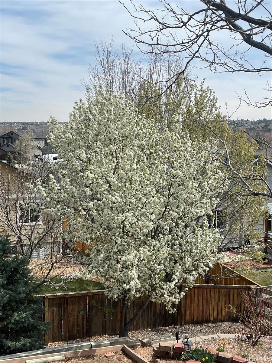 MLS Image #30 for 12884  capital creek street,parker, Colorado