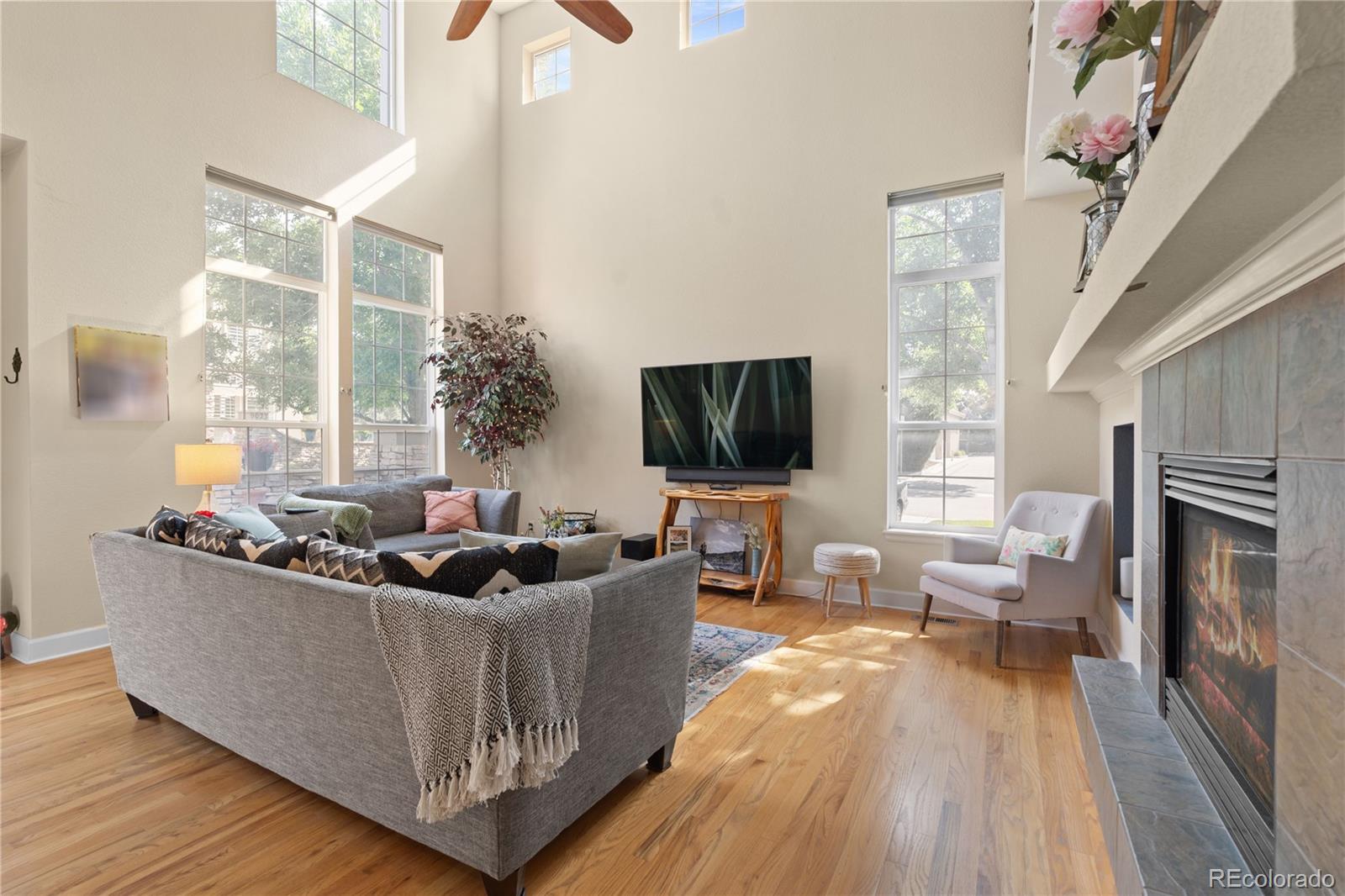 MLS Image #6 for 9021  old tom morris circle ,highlands ranch, Colorado