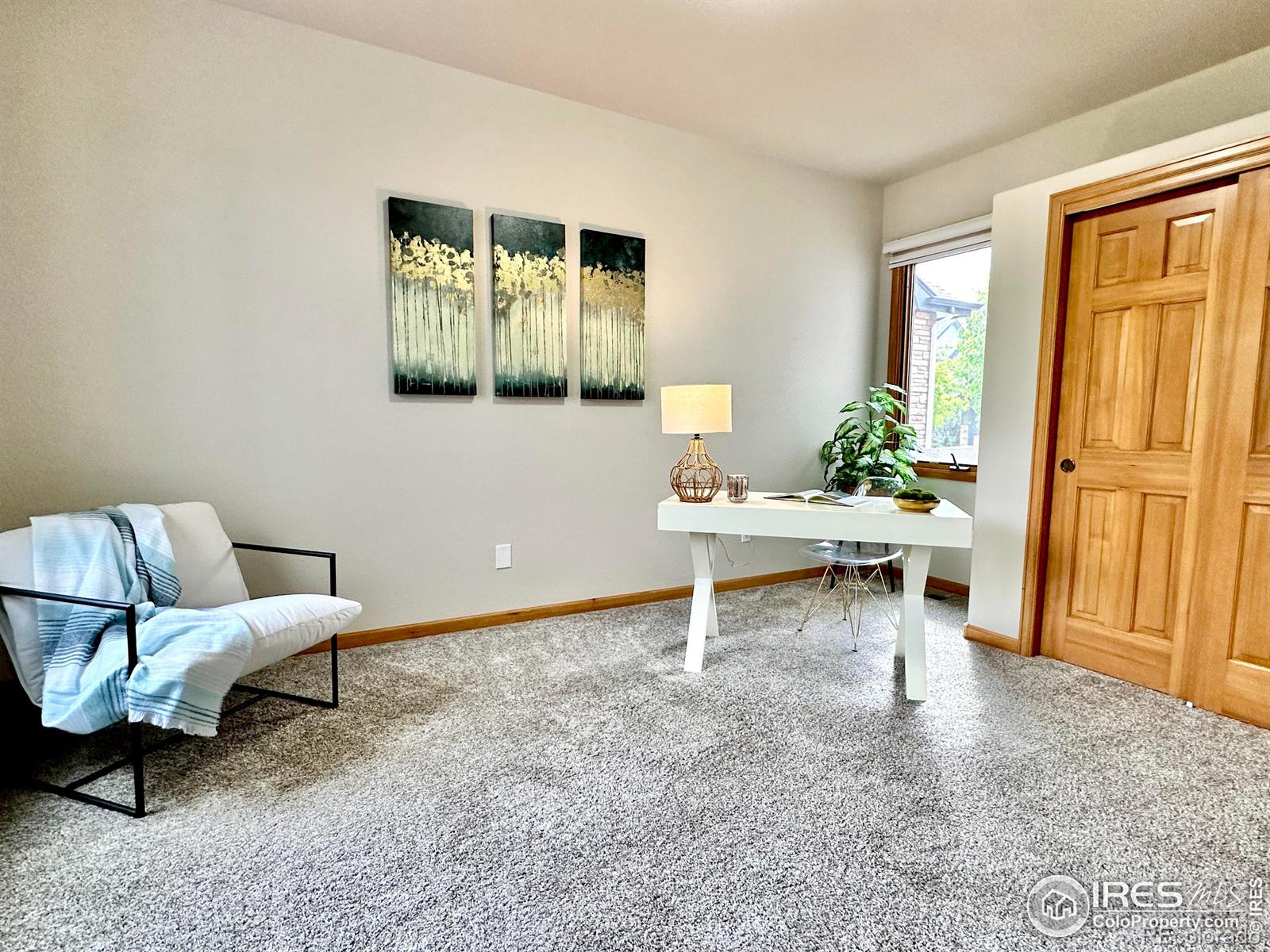 MLS Image #40 for 5702  falling water drive,fort collins, Colorado