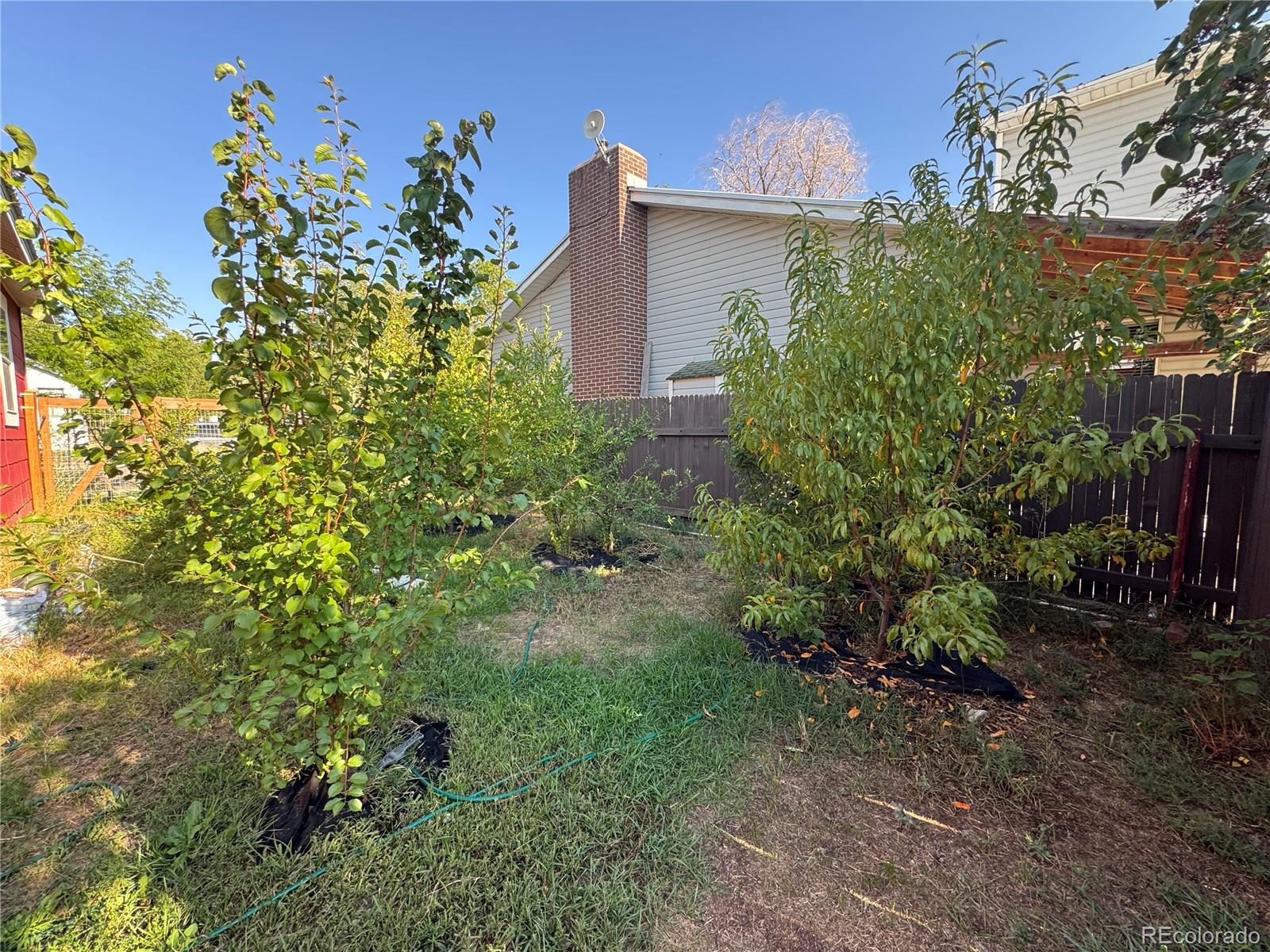 MLS Image #17 for 203  dakota avenue,rangely, Colorado
