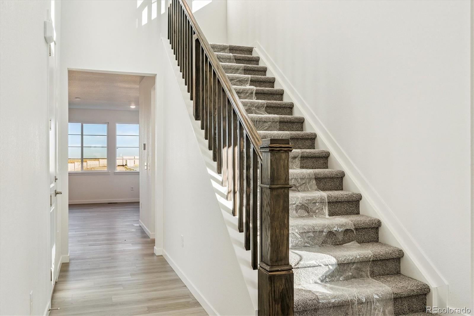 MLS Image #1 for 11193  mount emma drive,englewood, Colorado