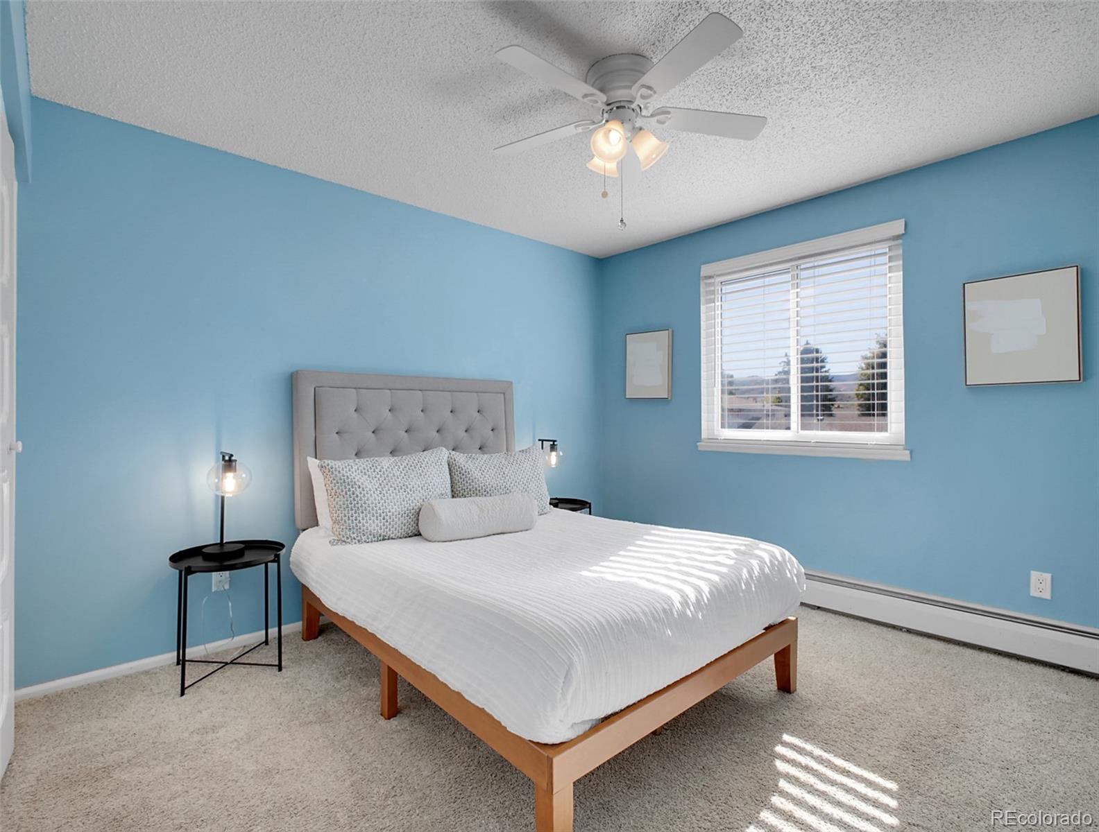 MLS Image #21 for 4309 s cole court,morrison, Colorado