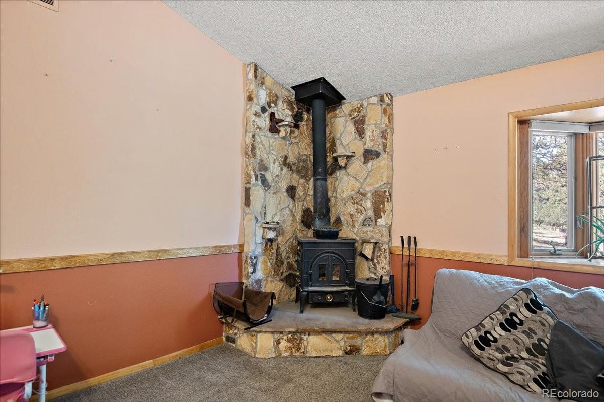 MLS Image #18 for 832  wykagyl road,westcliffe, Colorado