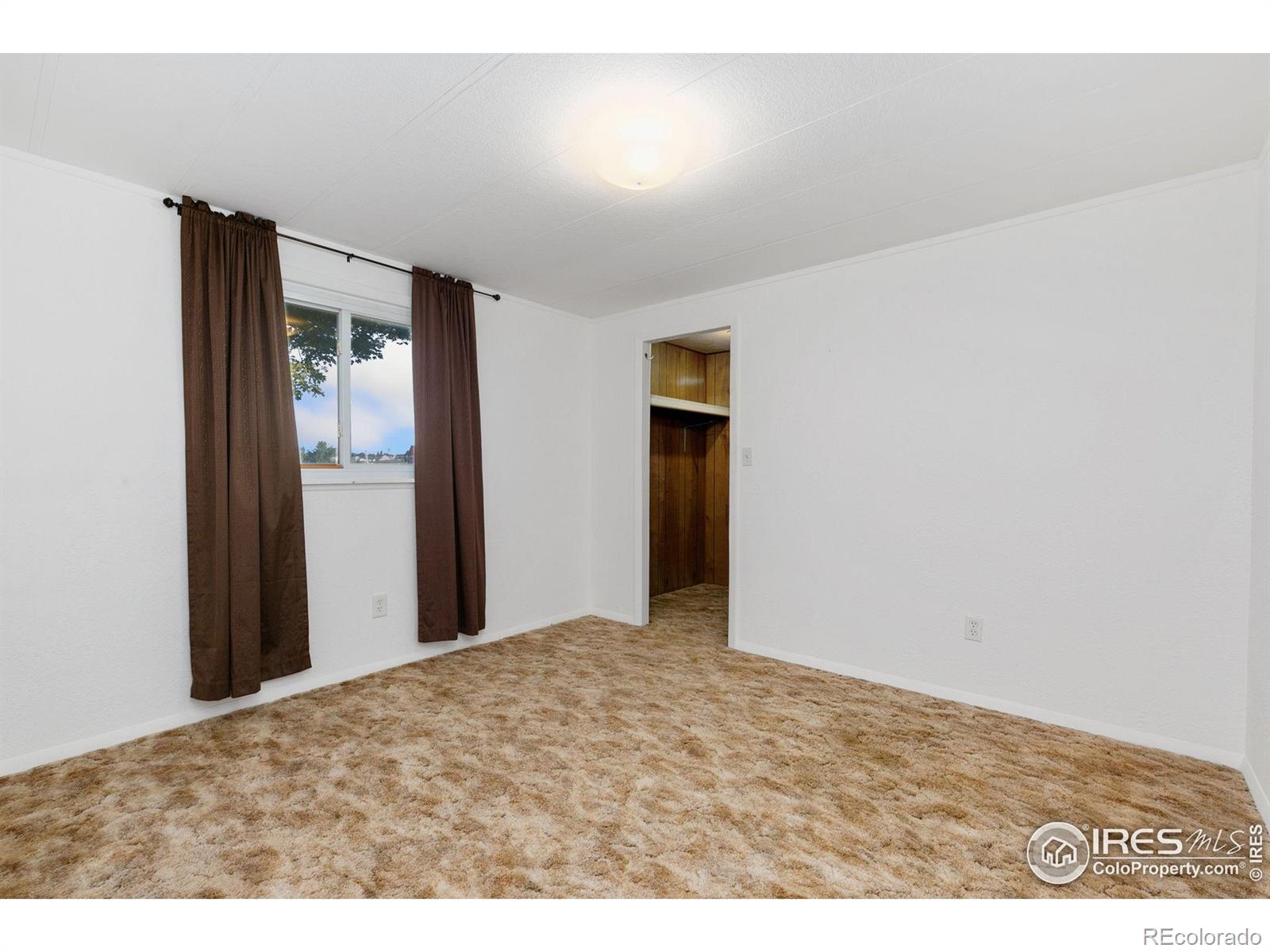 MLS Image #11 for 4202  coronado street,greeley, Colorado