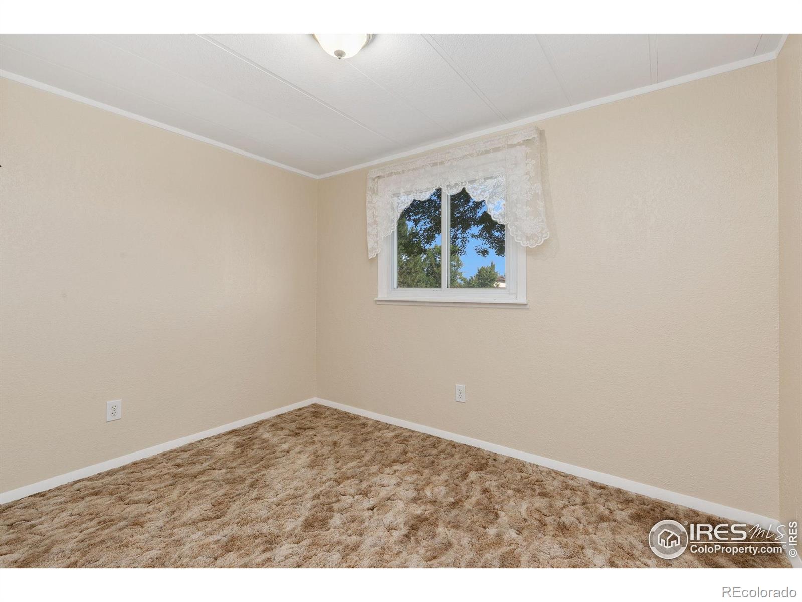 MLS Image #12 for 4202  coronado street,greeley, Colorado