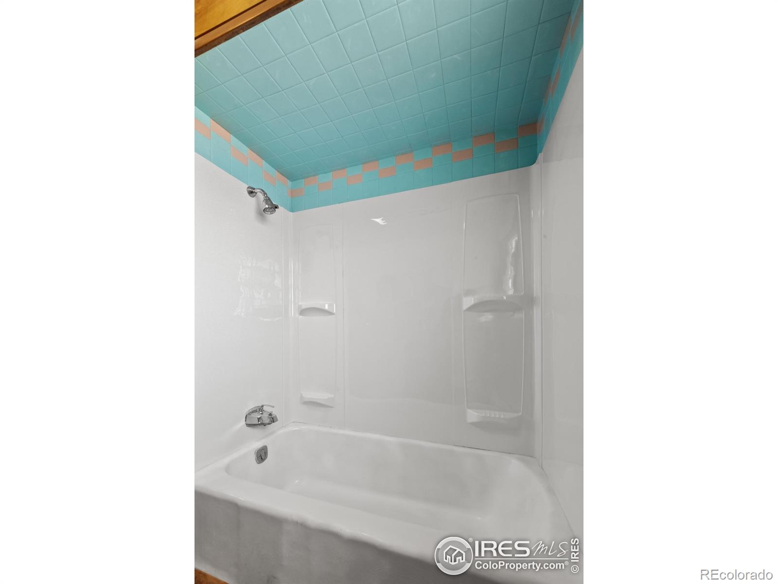 MLS Image #18 for 642  date avenue,akron, Colorado