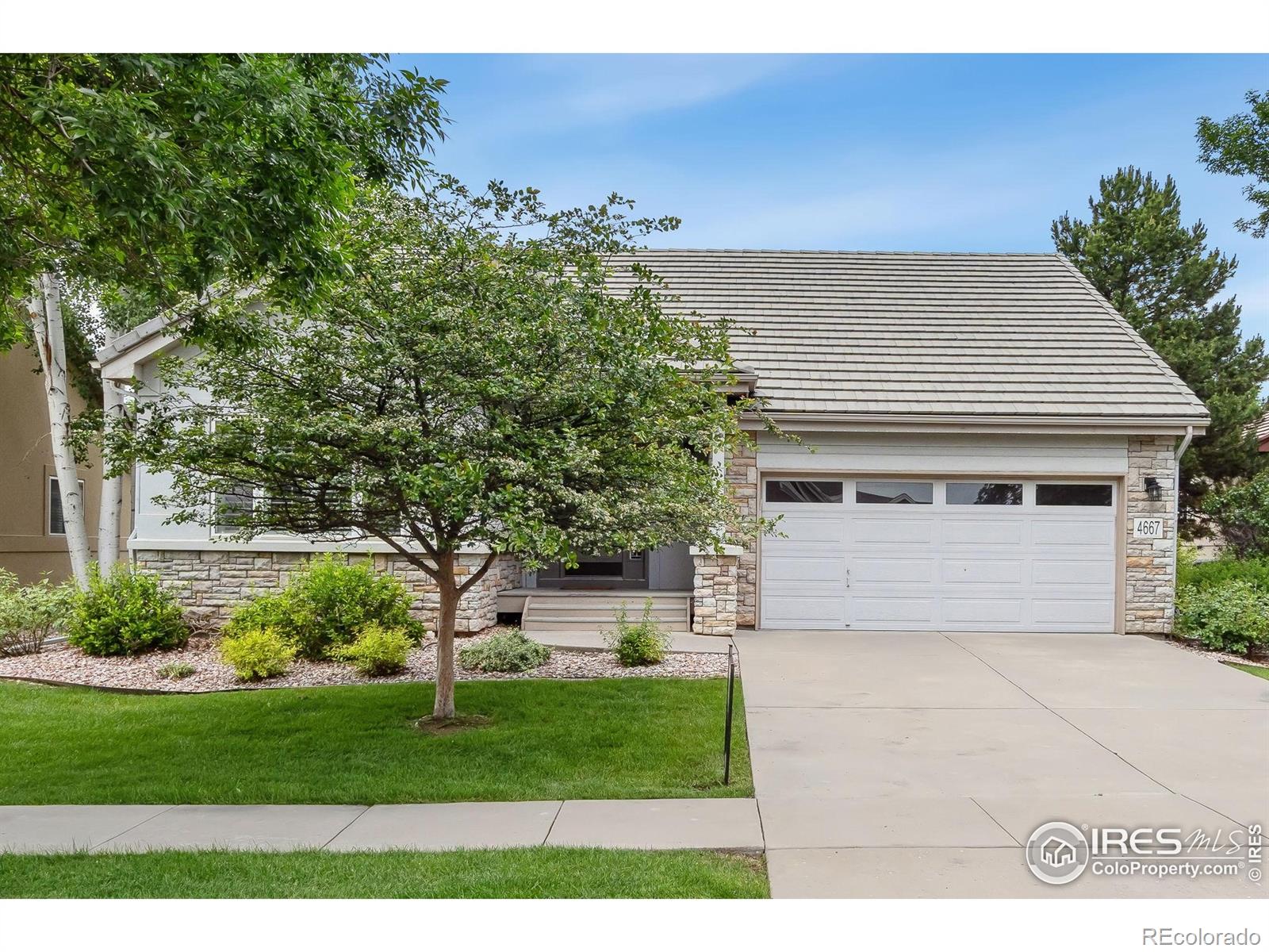 MLS Image #1 for 4667  foothills drive,loveland, Colorado