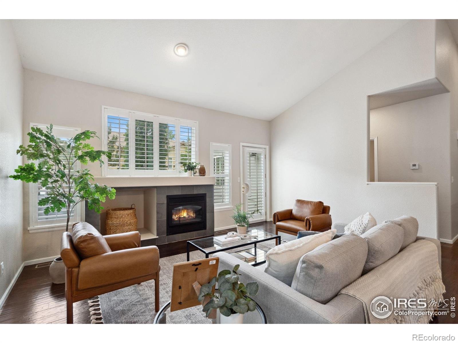 MLS Image #4 for 4667  foothills drive,loveland, Colorado