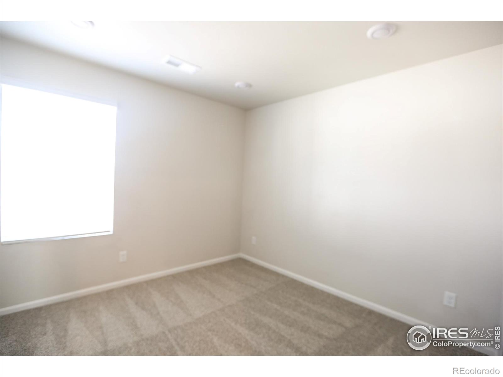 MLS Image #19 for 6318 n lisbon street,aurora, Colorado