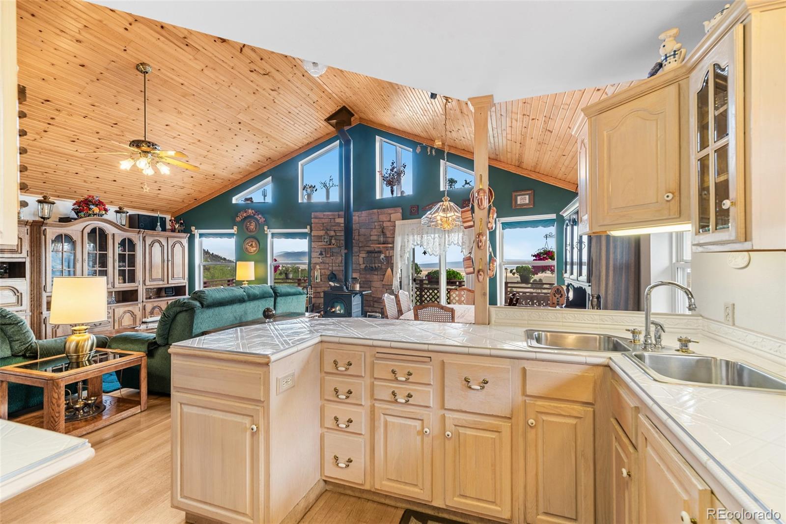 MLS Image #14 for 5700  san juan street,lake george, Colorado