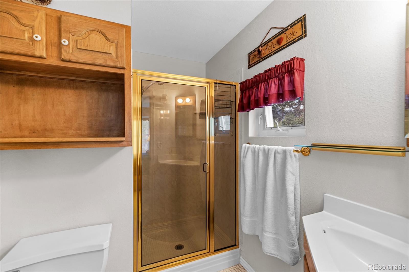 MLS Image #19 for 5700  san juan street,lake george, Colorado