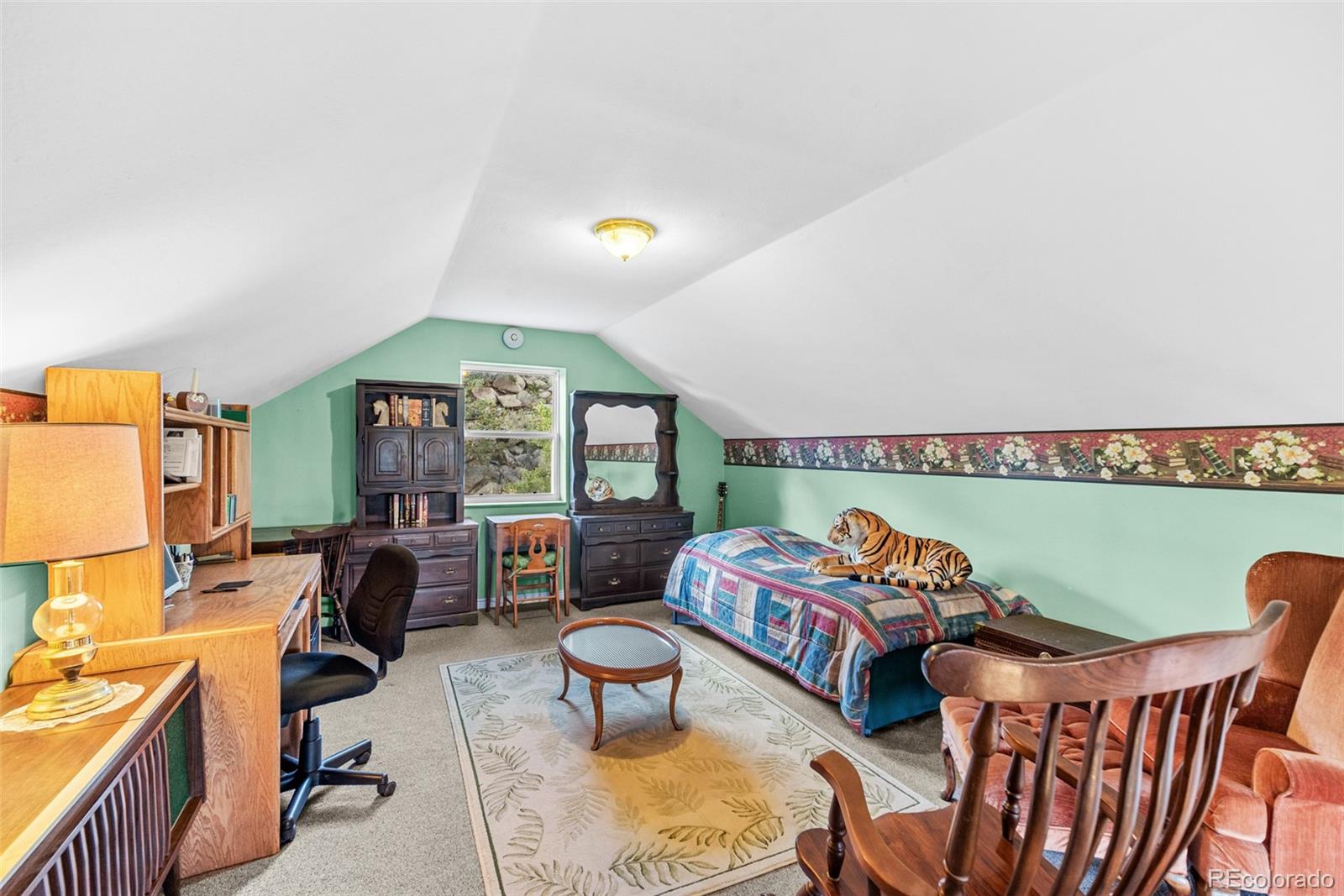 MLS Image #21 for 5700  san juan street,lake george, Colorado