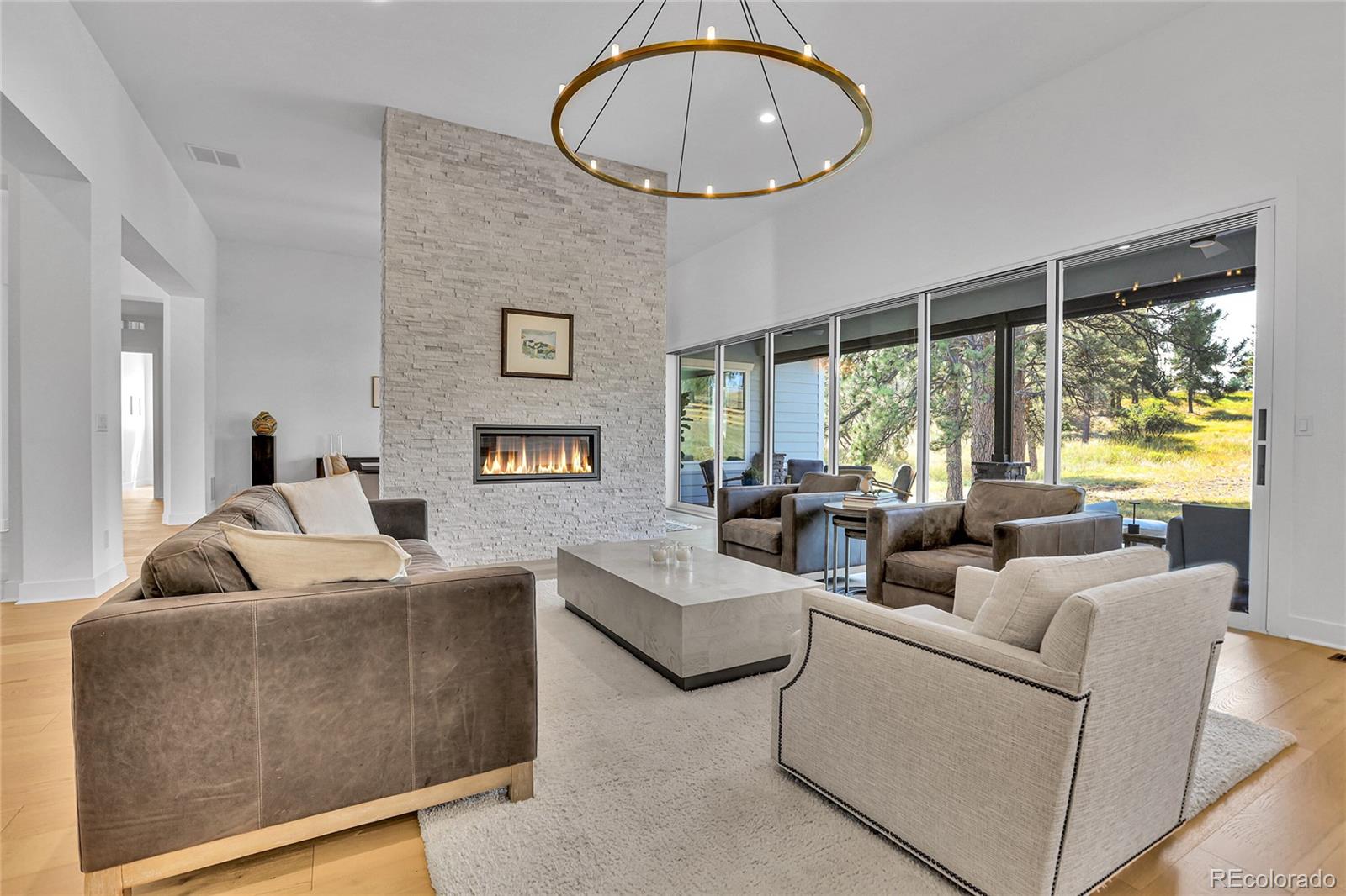MLS Image #10 for 9228  lone timber court,parker, Colorado