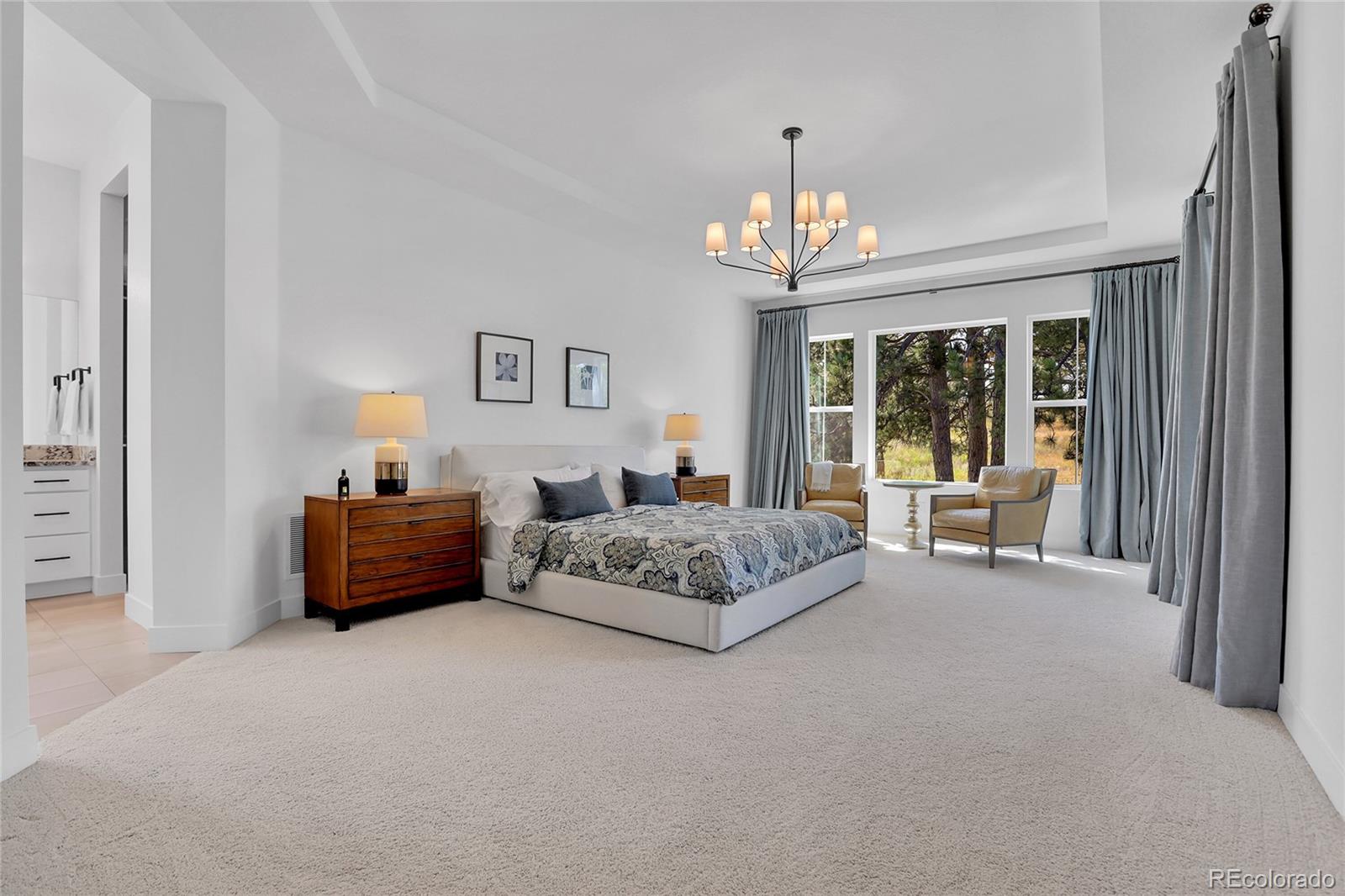 MLS Image #21 for 9228  lone timber court,parker, Colorado
