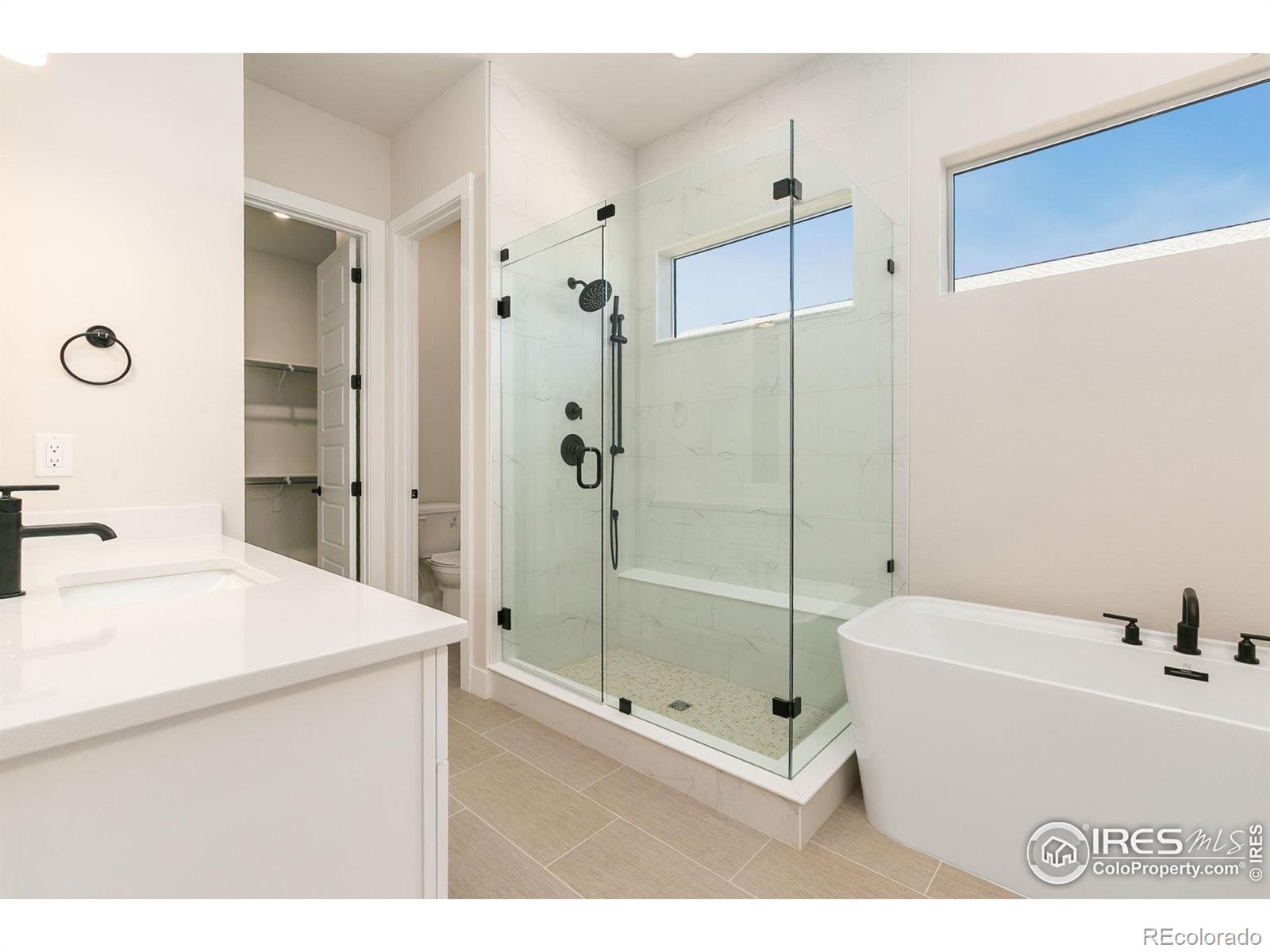 MLS Image #12 for 1633  winter glow drive,windsor, Colorado