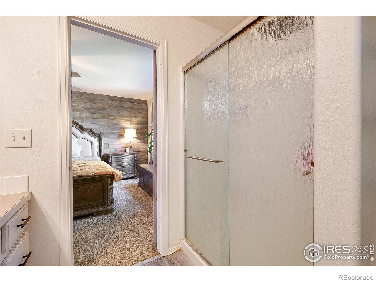 MLS Image #20 for 445  wrybill court,loveland, Colorado