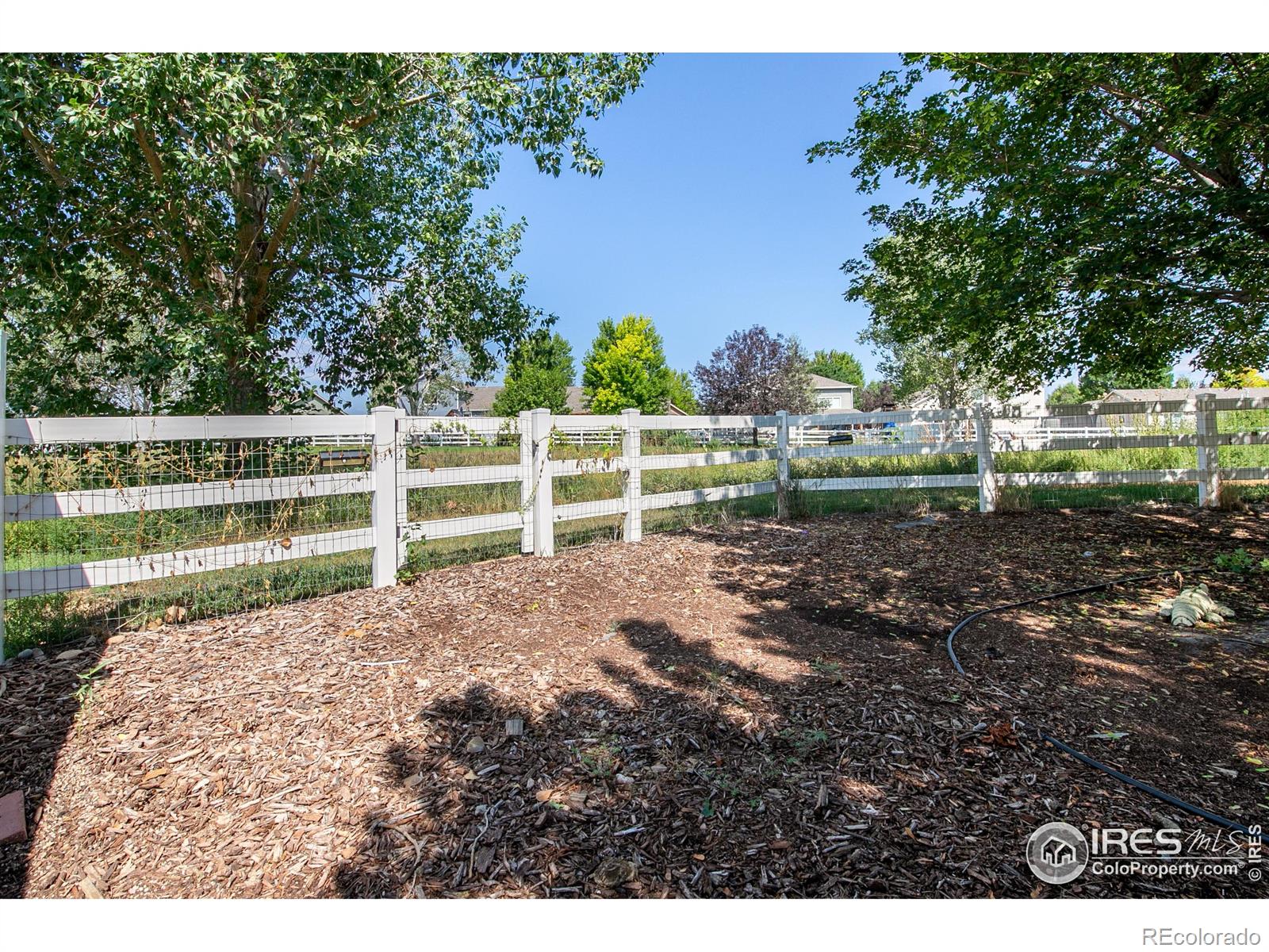 MLS Image #38 for 445  wrybill court,loveland, Colorado