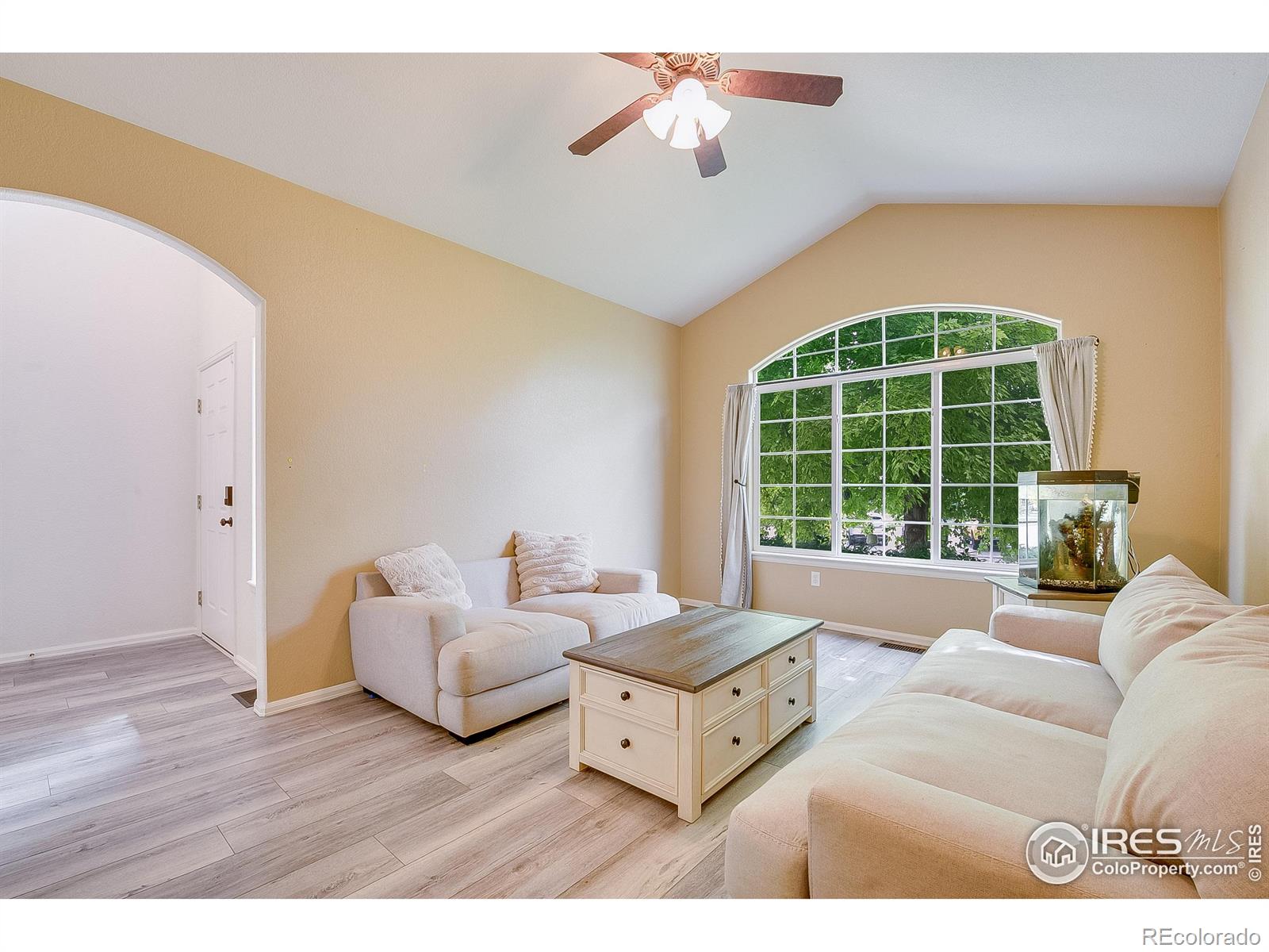 MLS Image #4 for 445  wrybill court,loveland, Colorado