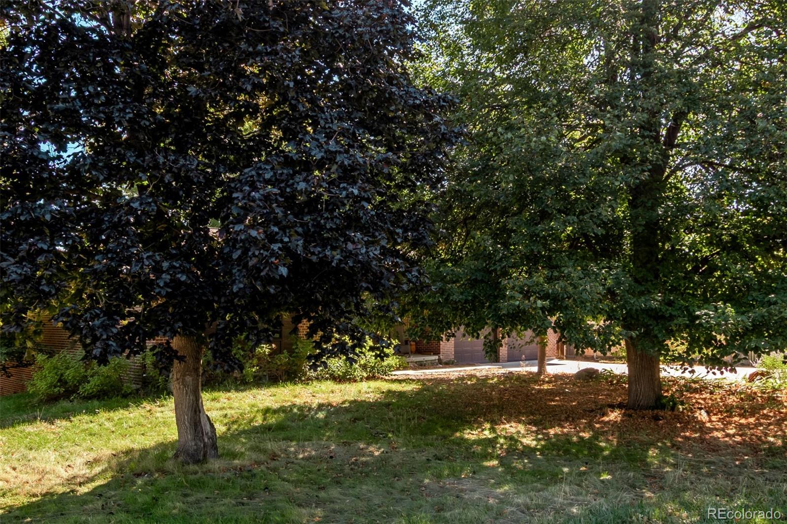 MLS Image #3 for 500 s nelson street,lakewood, Colorado