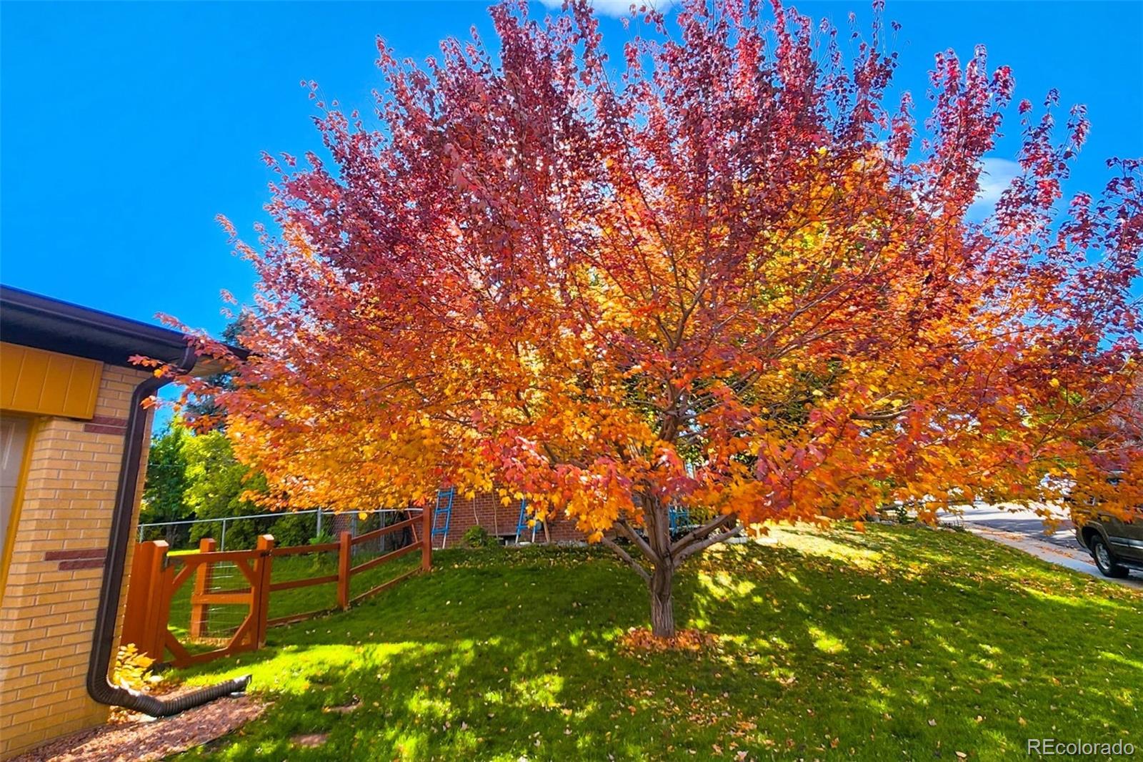 MLS Image #2 for 3548 e davies avenue,centennial, Colorado