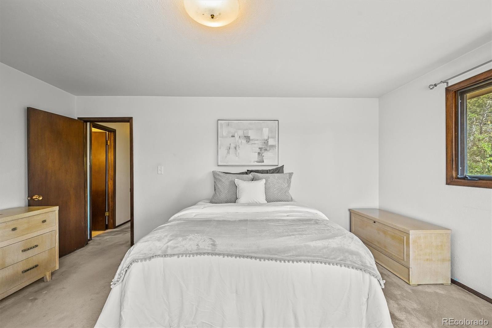 MLS Image #12 for 4374  canyon lane,castle rock, Colorado