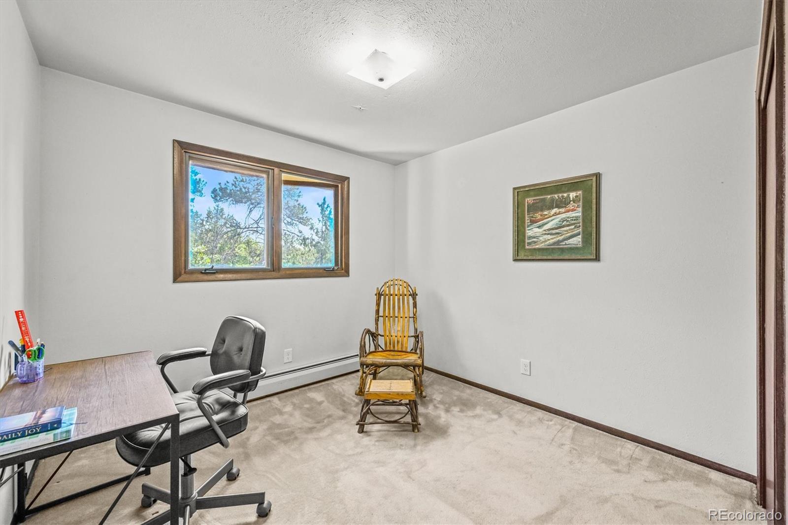 MLS Image #16 for 4374  canyon lane,castle rock, Colorado