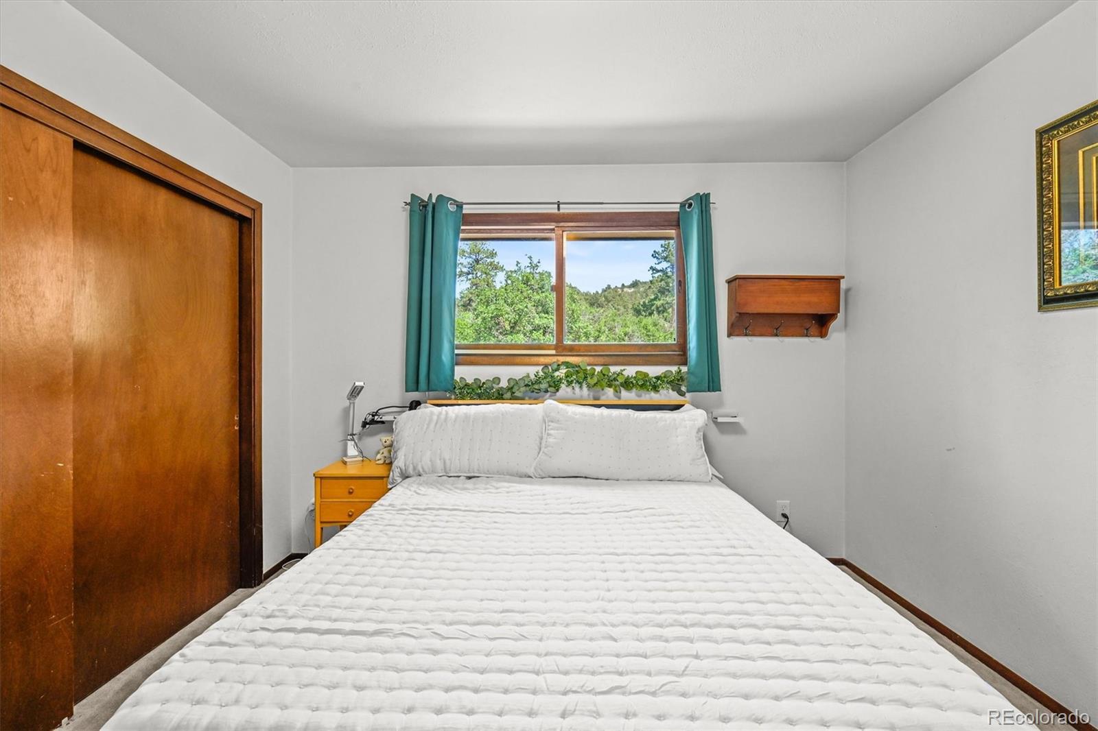 MLS Image #19 for 4374  canyon lane,castle rock, Colorado