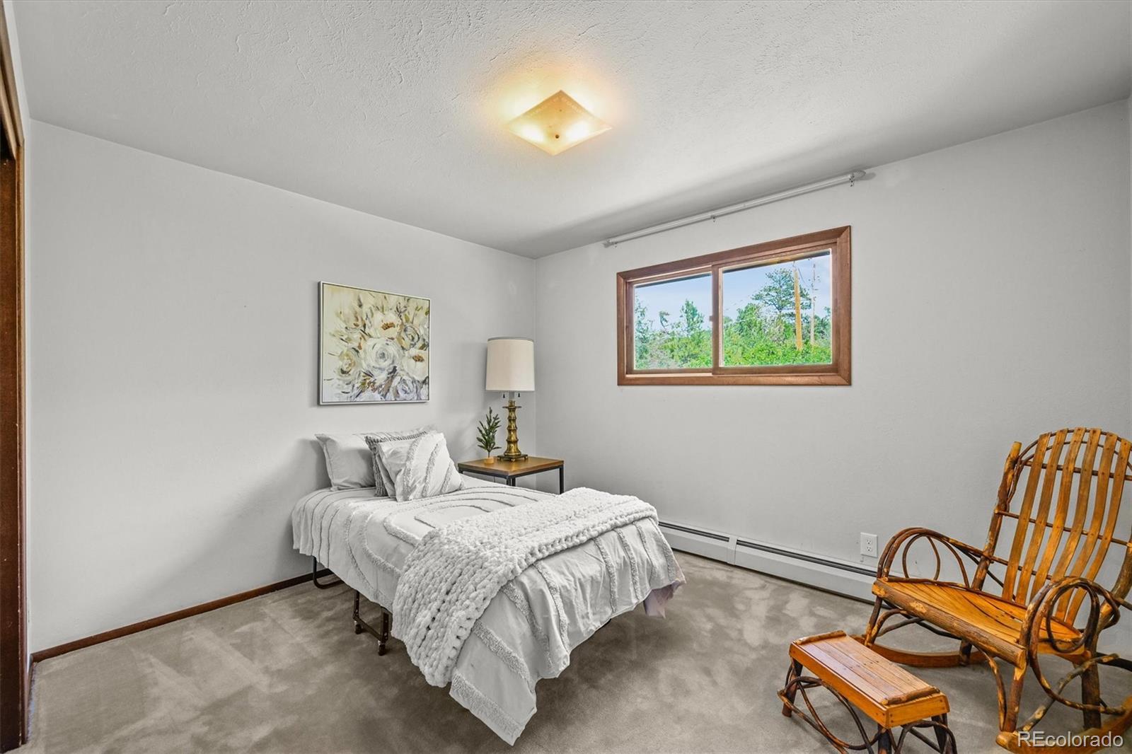 MLS Image #22 for 4374  canyon lane,castle rock, Colorado