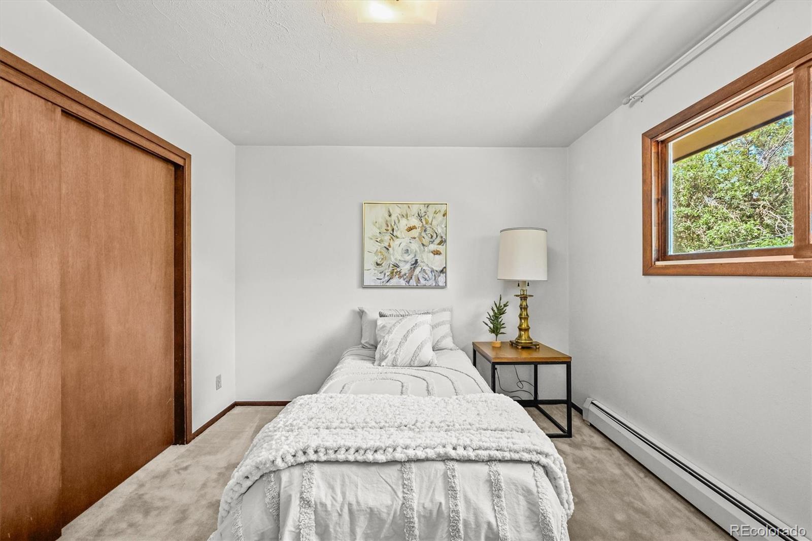 MLS Image #23 for 4374  canyon lane,castle rock, Colorado