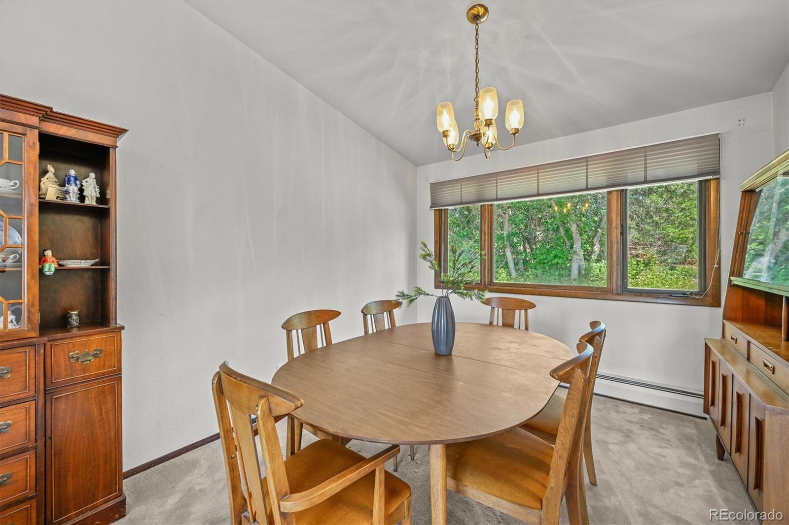 MLS Image #6 for 4374  canyon lane,castle rock, Colorado