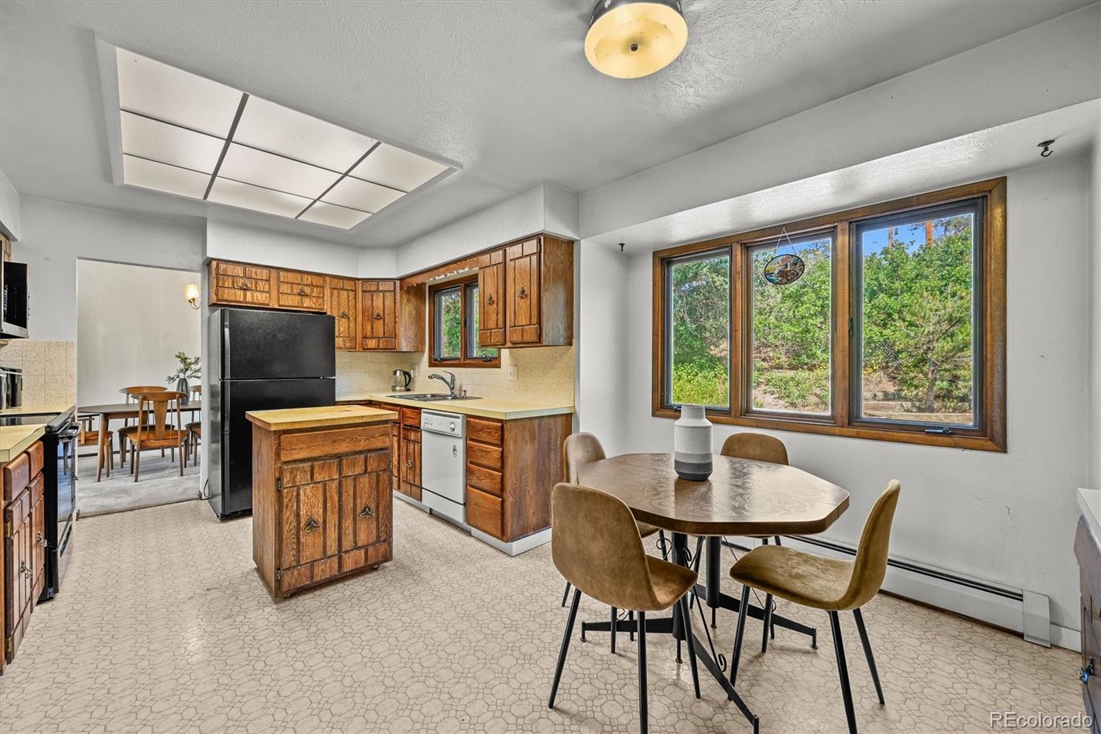 MLS Image #9 for 4374  canyon lane,castle rock, Colorado