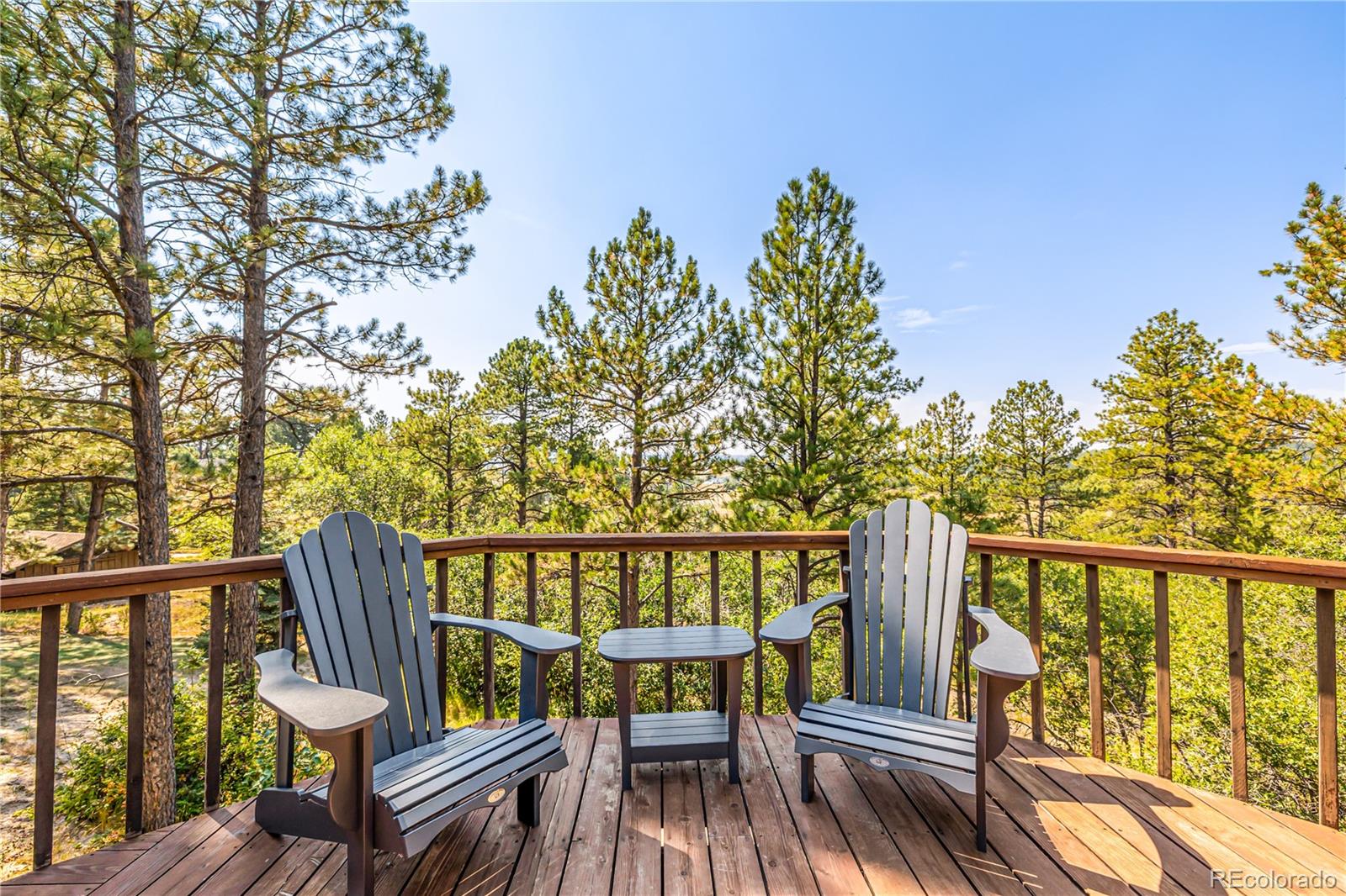 MLS Image #14 for 9142  warriors mark drive,franktown, Colorado