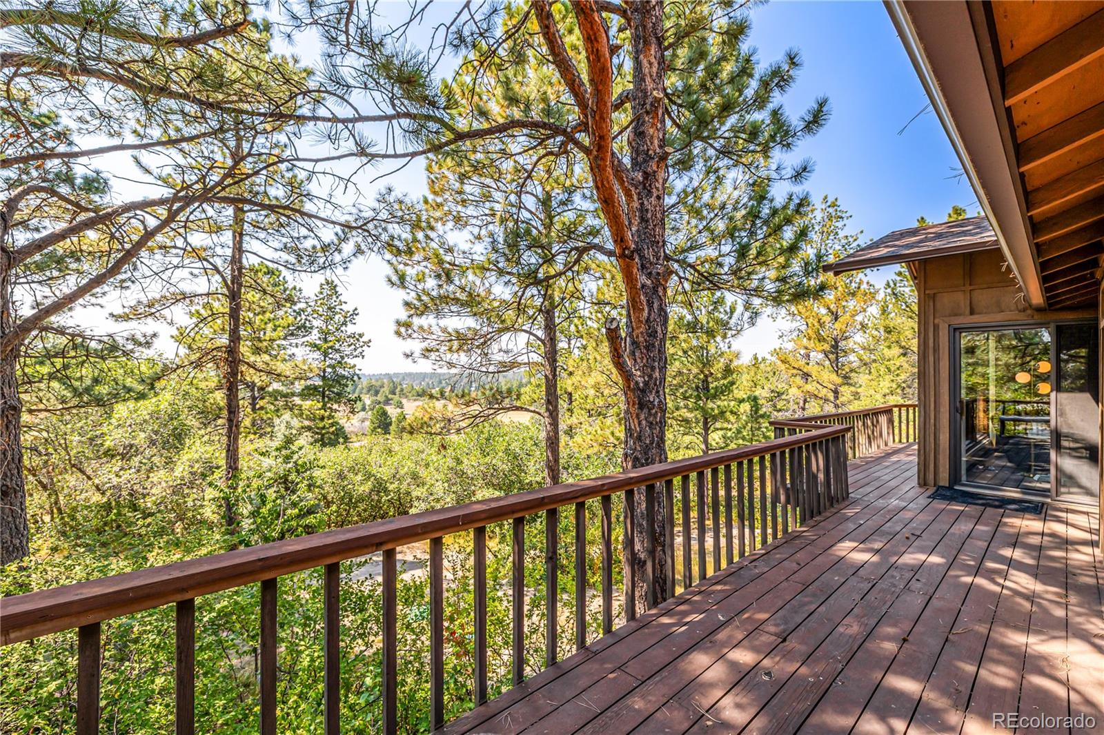 MLS Image #18 for 9142  warriors mark drive,franktown, Colorado