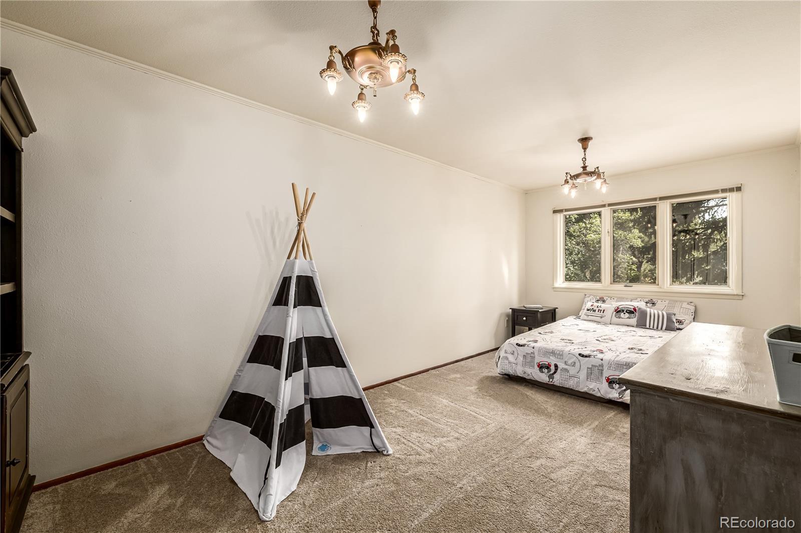 MLS Image #20 for 9142  warriors mark drive,franktown, Colorado