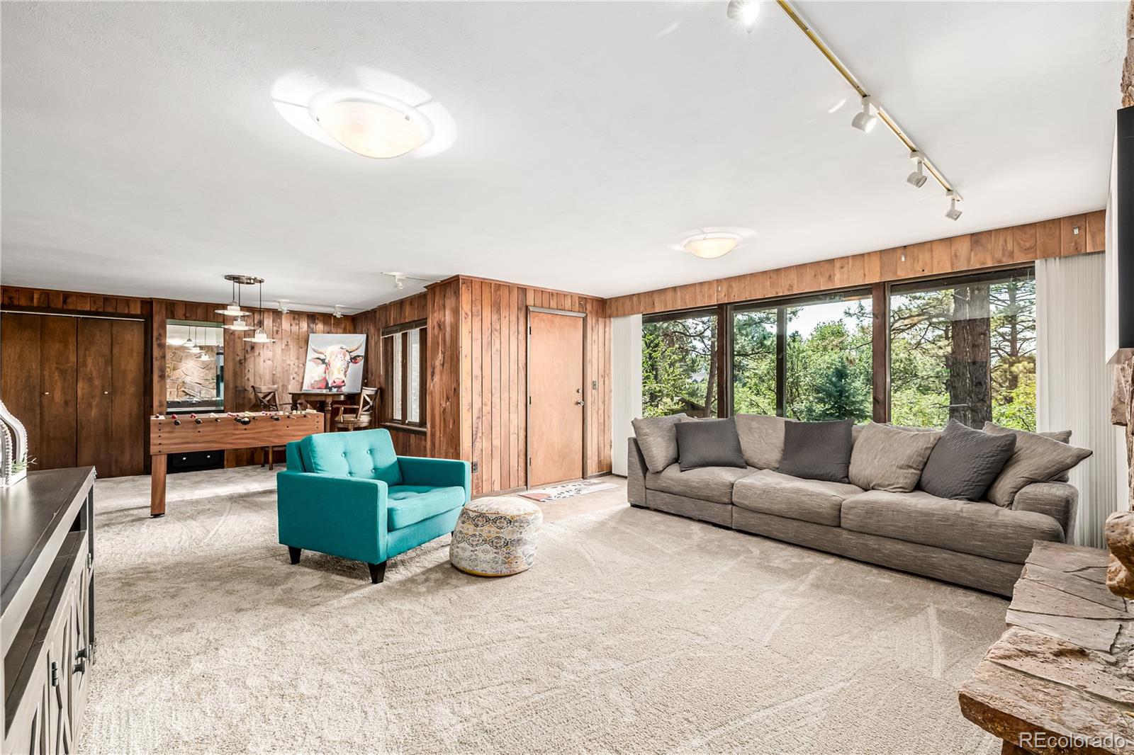 MLS Image #23 for 9142  warriors mark drive,franktown, Colorado