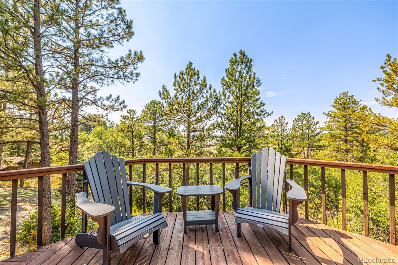 MLS Image #38 for 9142  warriors mark drive,franktown, Colorado