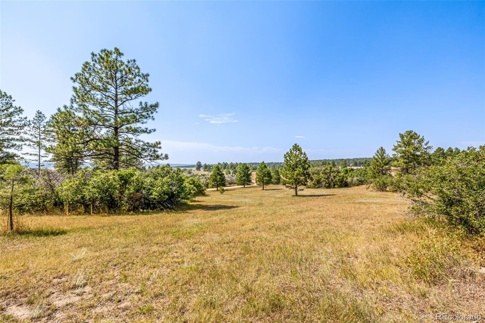 MLS Image #41 for 9142  warriors mark drive,franktown, Colorado