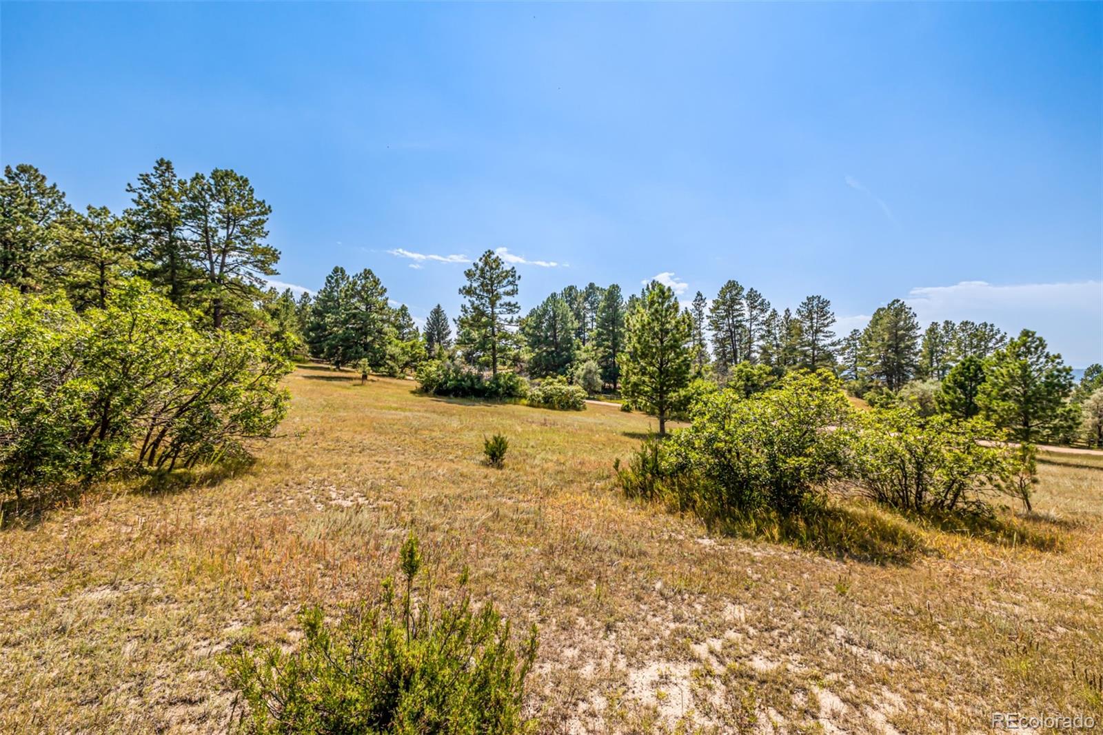 MLS Image #42 for 9142  warriors mark drive,franktown, Colorado