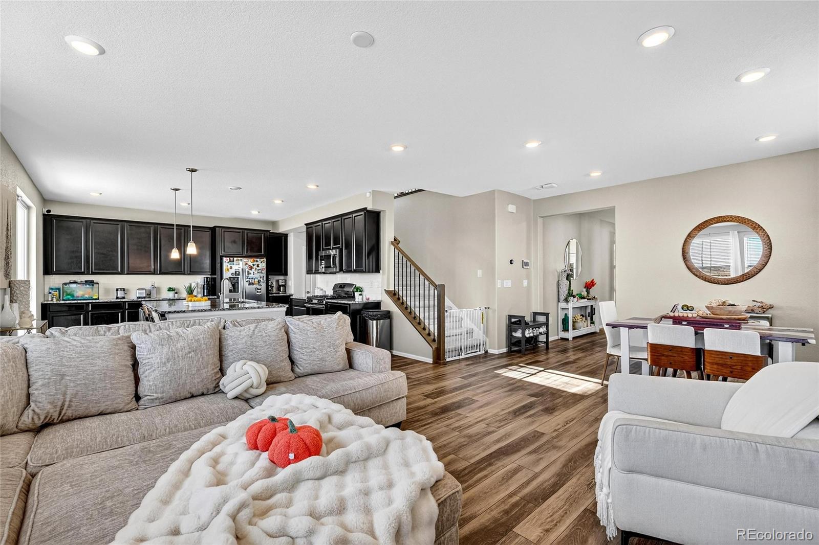 MLS Image #6 for 17201 e 95th place,commerce city, Colorado