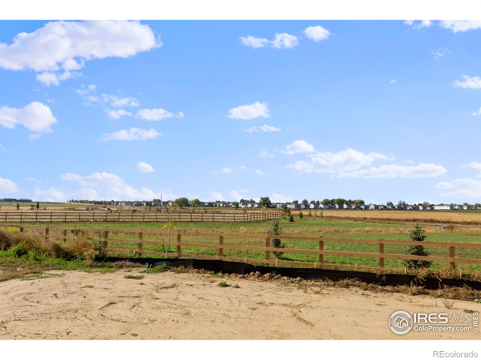 MLS Image #4 for 668  piedmontese street,johnstown, Colorado