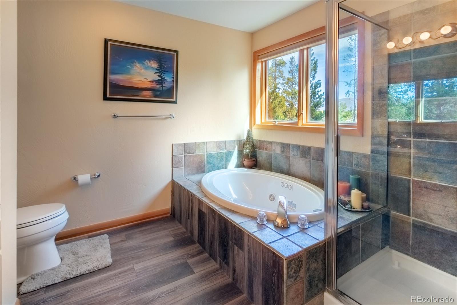 MLS Image #16 for 104  grand county road 6525 ,grand lake, Colorado