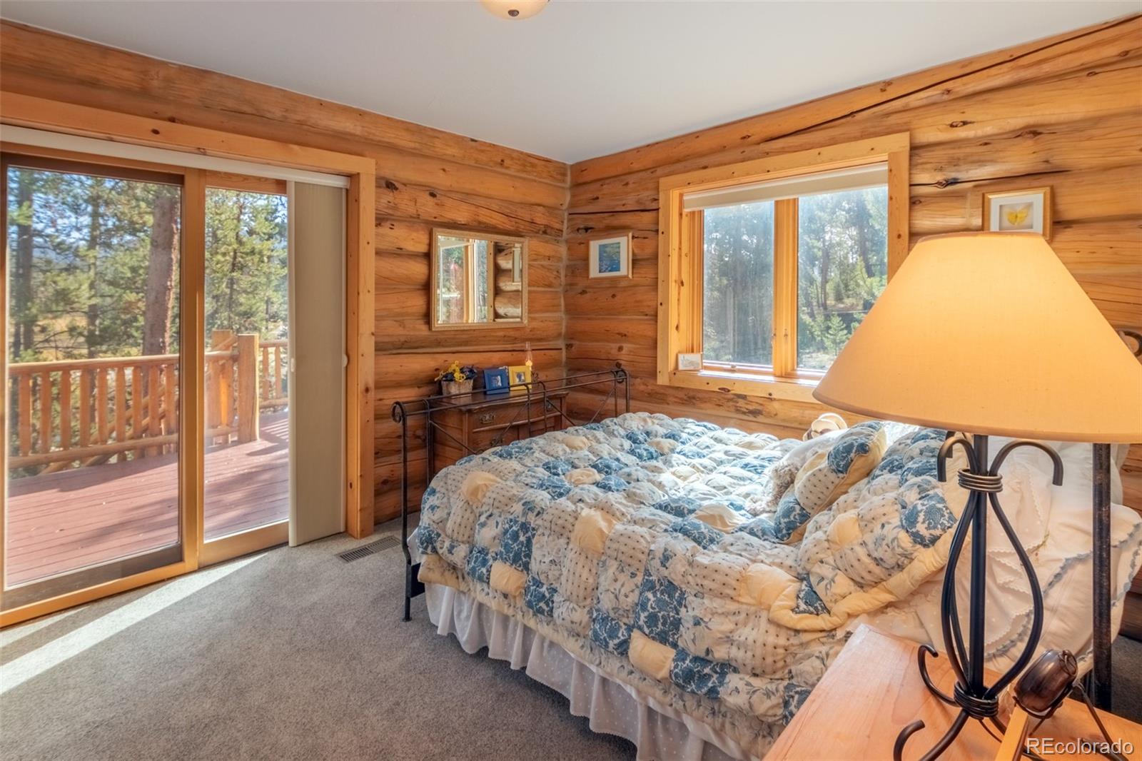 MLS Image #19 for 104  grand county road 6525 ,grand lake, Colorado