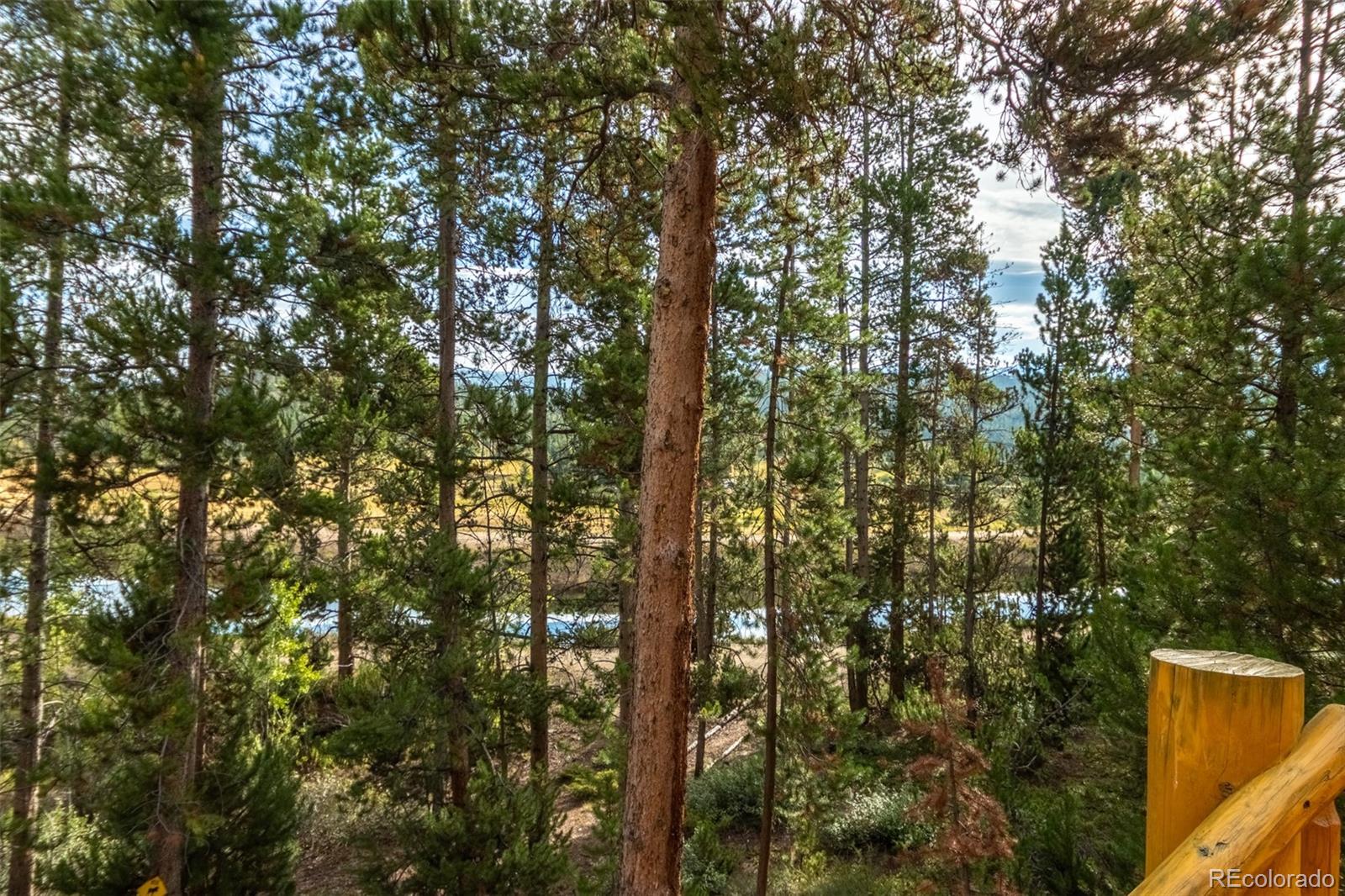 MLS Image #23 for 104  grand county road 6525 ,grand lake, Colorado