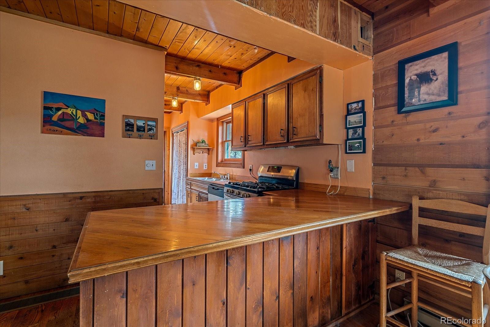 MLS Image #12 for 104  six bits street,bailey, Colorado