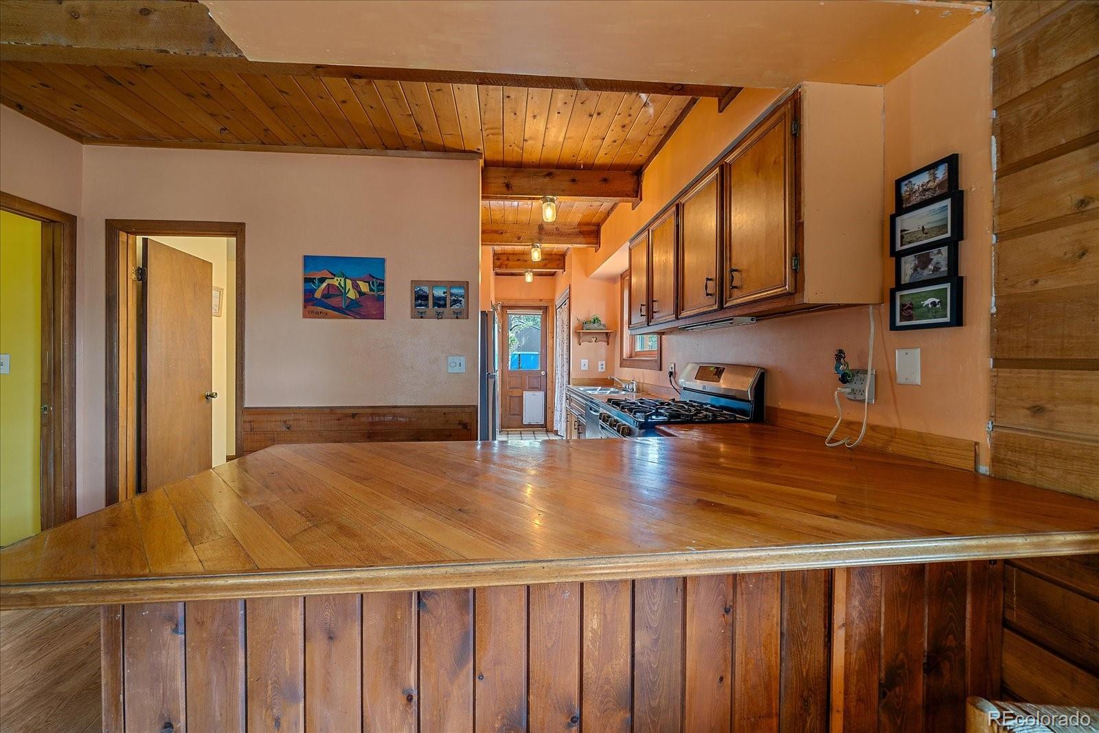 MLS Image #13 for 104  six bits street,bailey, Colorado