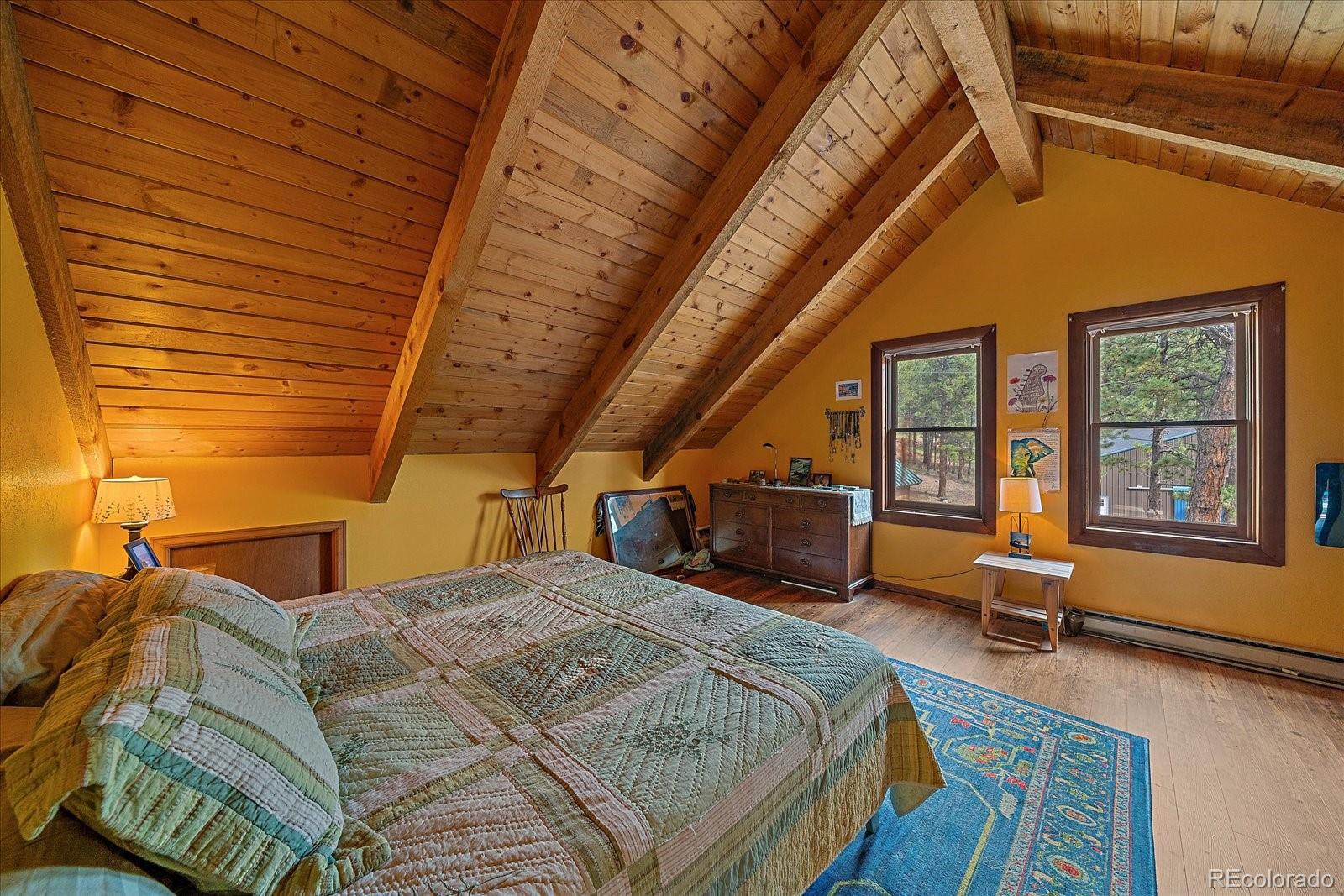 MLS Image #20 for 104  six bits street,bailey, Colorado