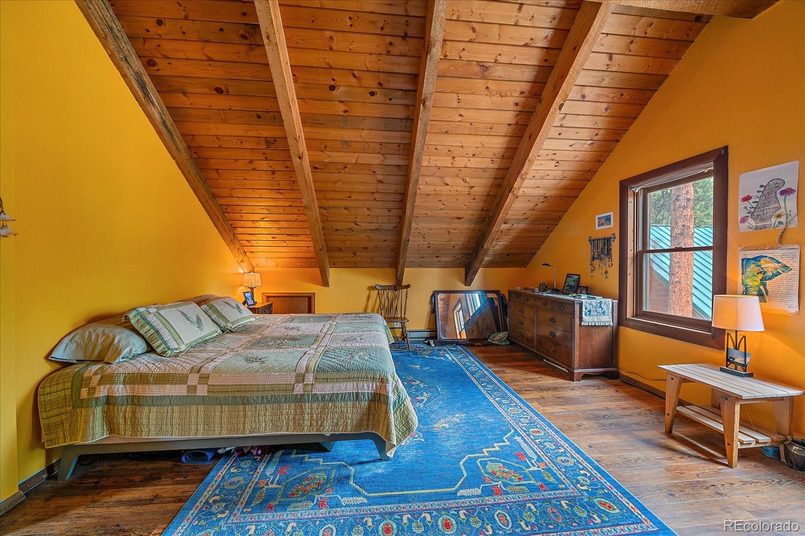 MLS Image #21 for 104  six bits street,bailey, Colorado