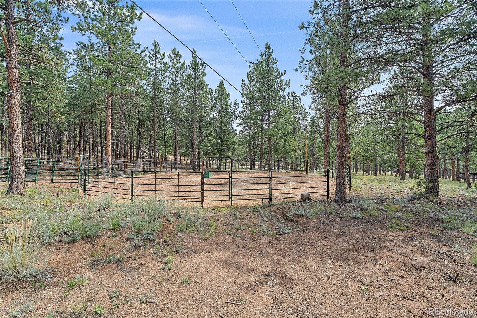 MLS Image #32 for 104  six bits street,bailey, Colorado