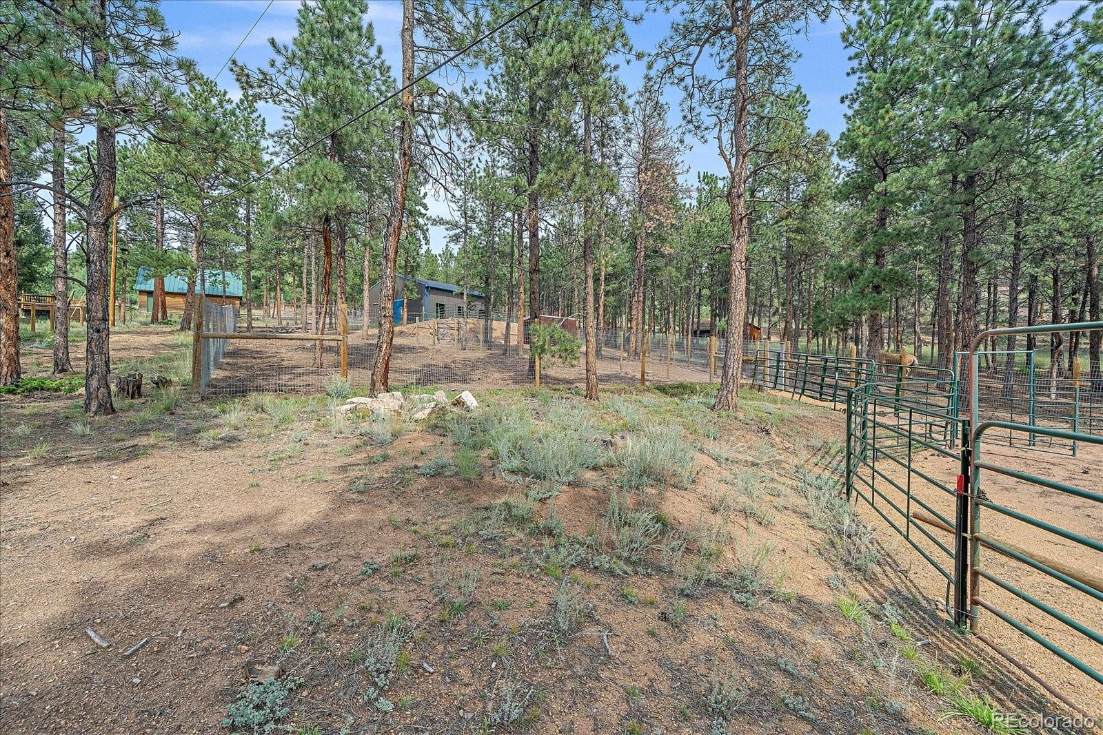 MLS Image #33 for 104  six bits street,bailey, Colorado
